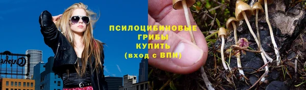твердый Горнозаводск