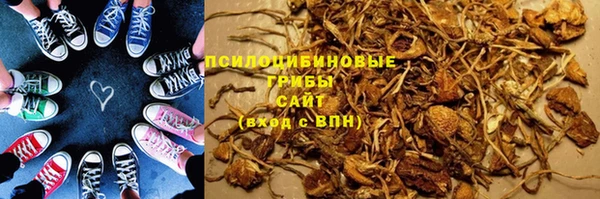 твердый Горнозаводск