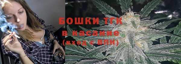 твердый Горнозаводск