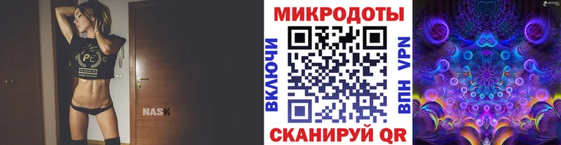 Псилоцибиновые грибы прущие грибы  Дзержинский 